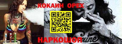 крисы Славгород