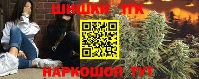 крисы Славгород