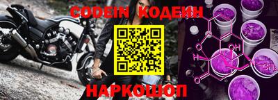 крисы Славгород