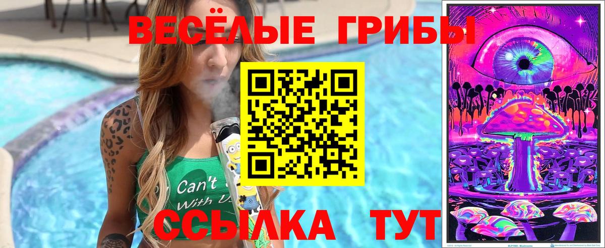 Галлюциногенные грибы Cubensis Энгельс