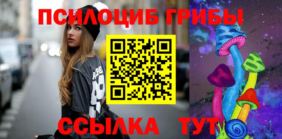 Псилоцибиновые грибы мицелий  Вход с VPN  Энгельс 